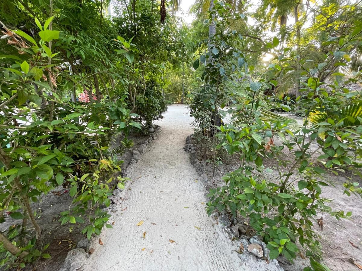 Your Zanzibar Place Paje Exterior photo