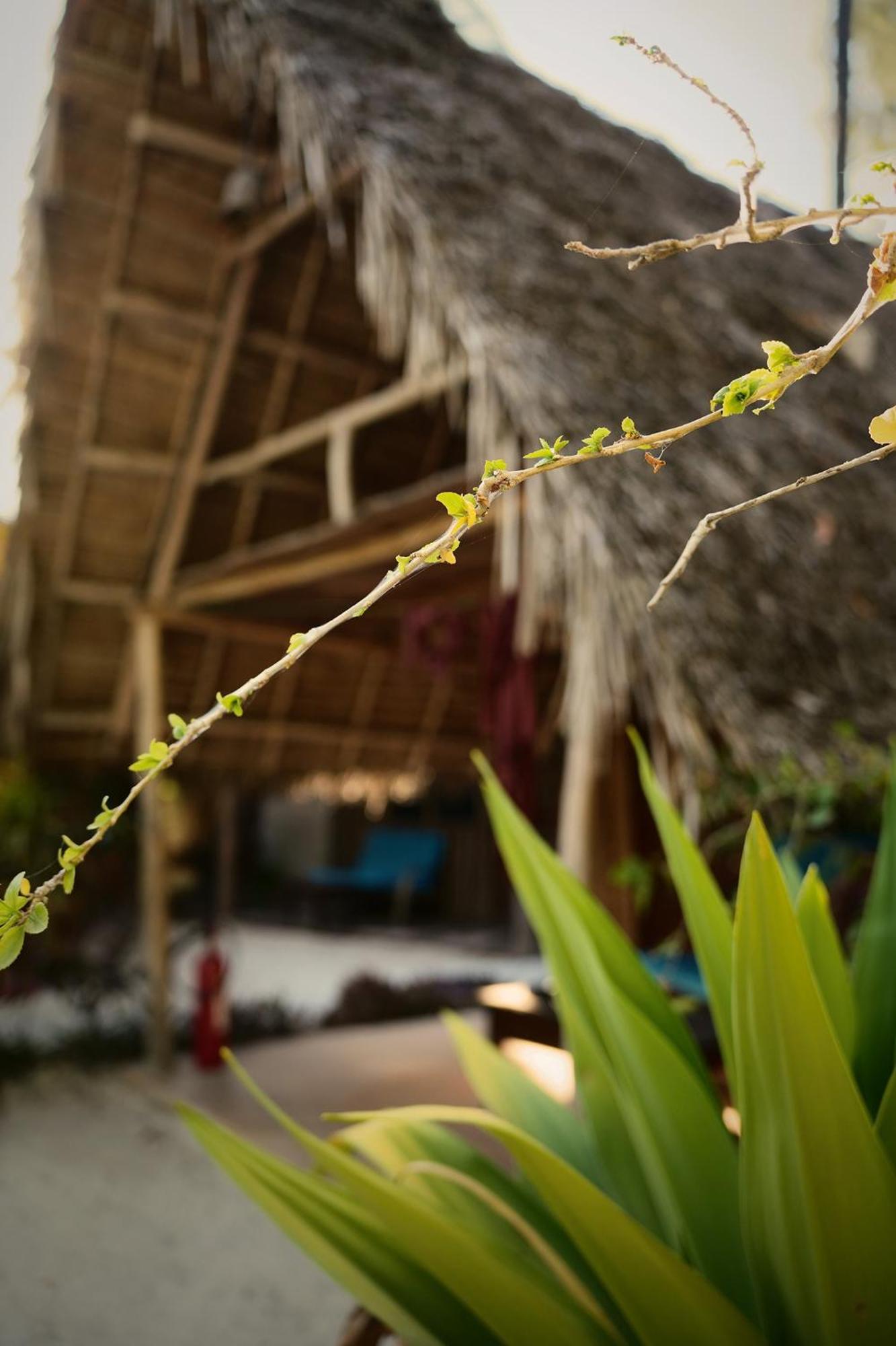 Your Zanzibar Place Paje Exterior photo